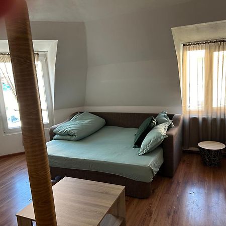 Bivolul Negru Apartment Blaj Exterior photo