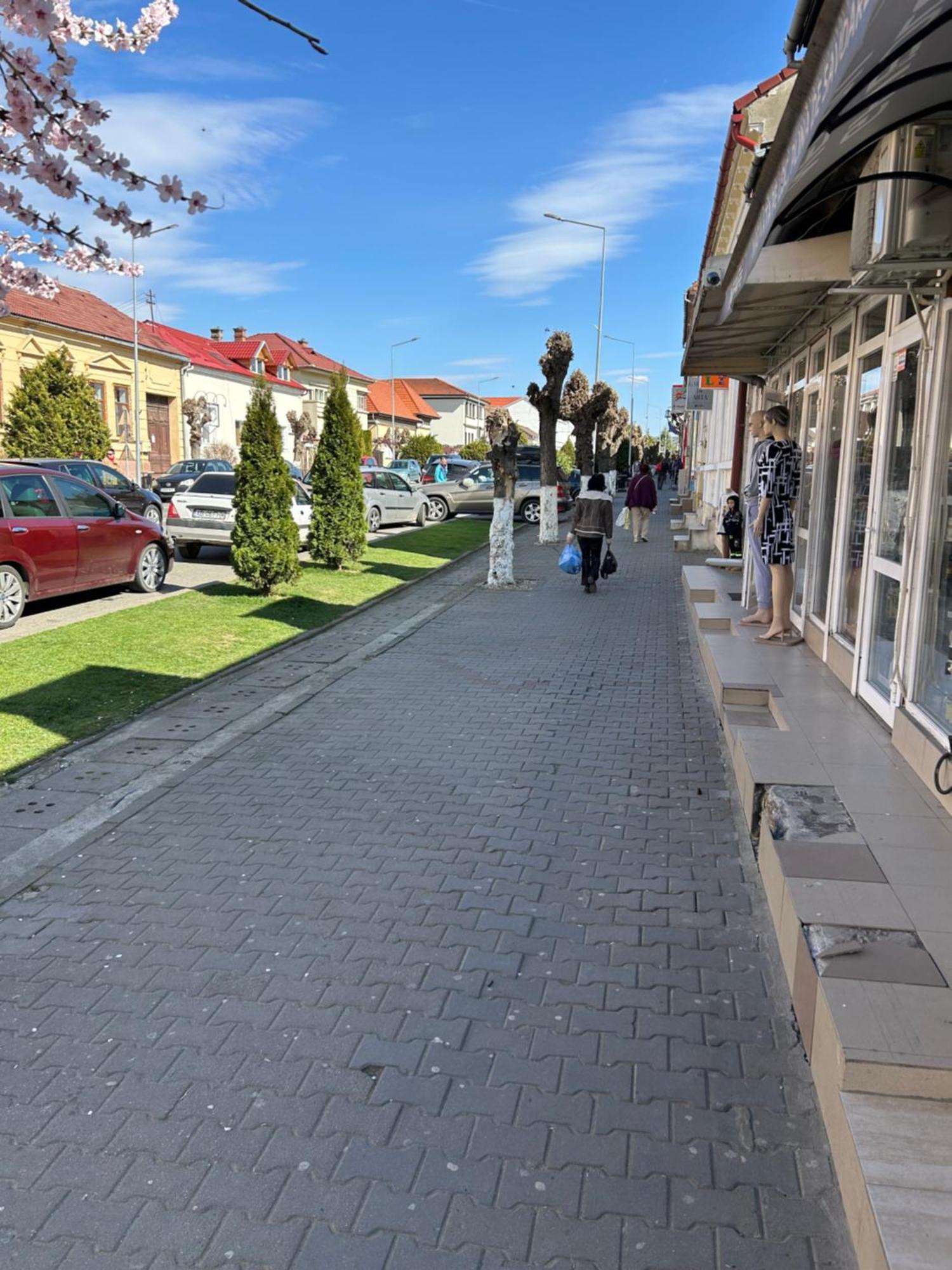 Bivolul Negru Apartment Blaj Exterior photo