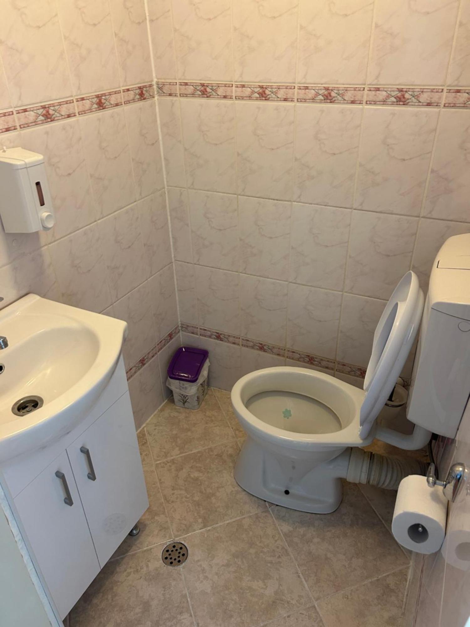Bivolul Negru Apartment Blaj Exterior photo